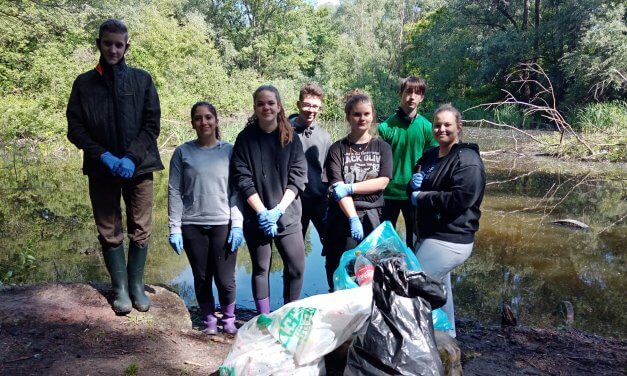 Tavaszi mocsártakarítás