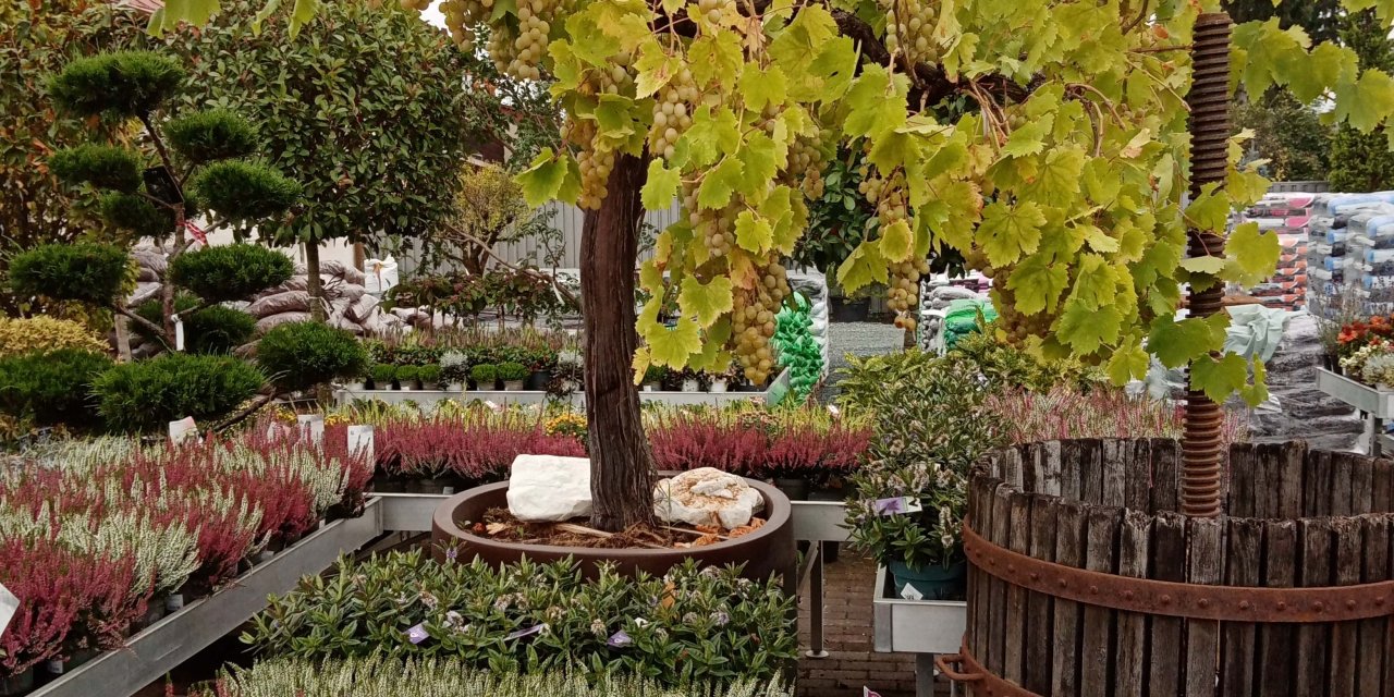 Kertészek a kertészetben