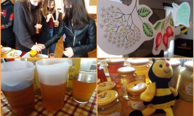 Méz és tea-az édes orvosság