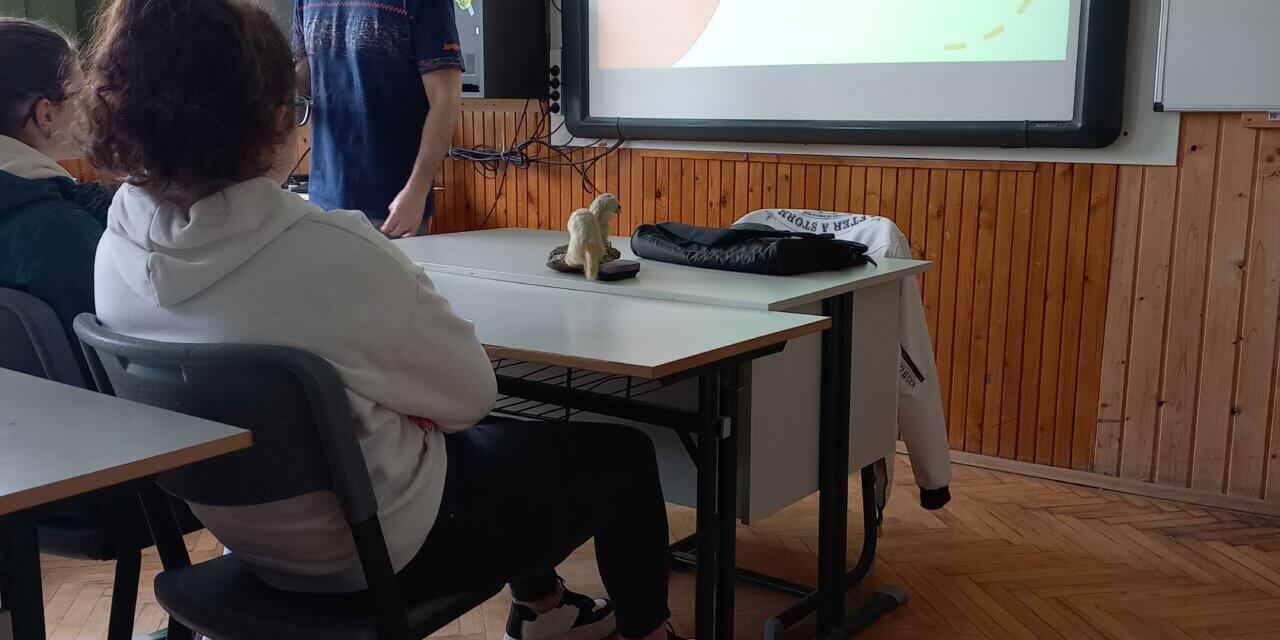 Digitális Témahét a Hermanban