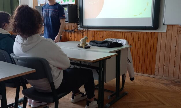 Digitális Témahét a Hermanban